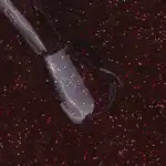 PB NAILS - Lakier hybrydowy Ho Ho Ho - 8ml1