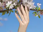 VICTORIA VYNN - Mega Base Peachy Pink - 8ml2