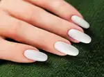 VICTORIA VYNN - Pure Creamy Hybrid 262 Stella Mozzarella - 8ml2
