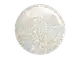 VICTORIA VYNN - Pure Creamy Hybrid 038 Star Event - 8ml1