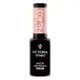 VICTORIA VYNN - Zestaw Forget Me Nude 400, 401, 402, 403 + Top GRATIS4